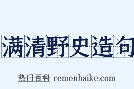 满清野史造句是什么意思的图片